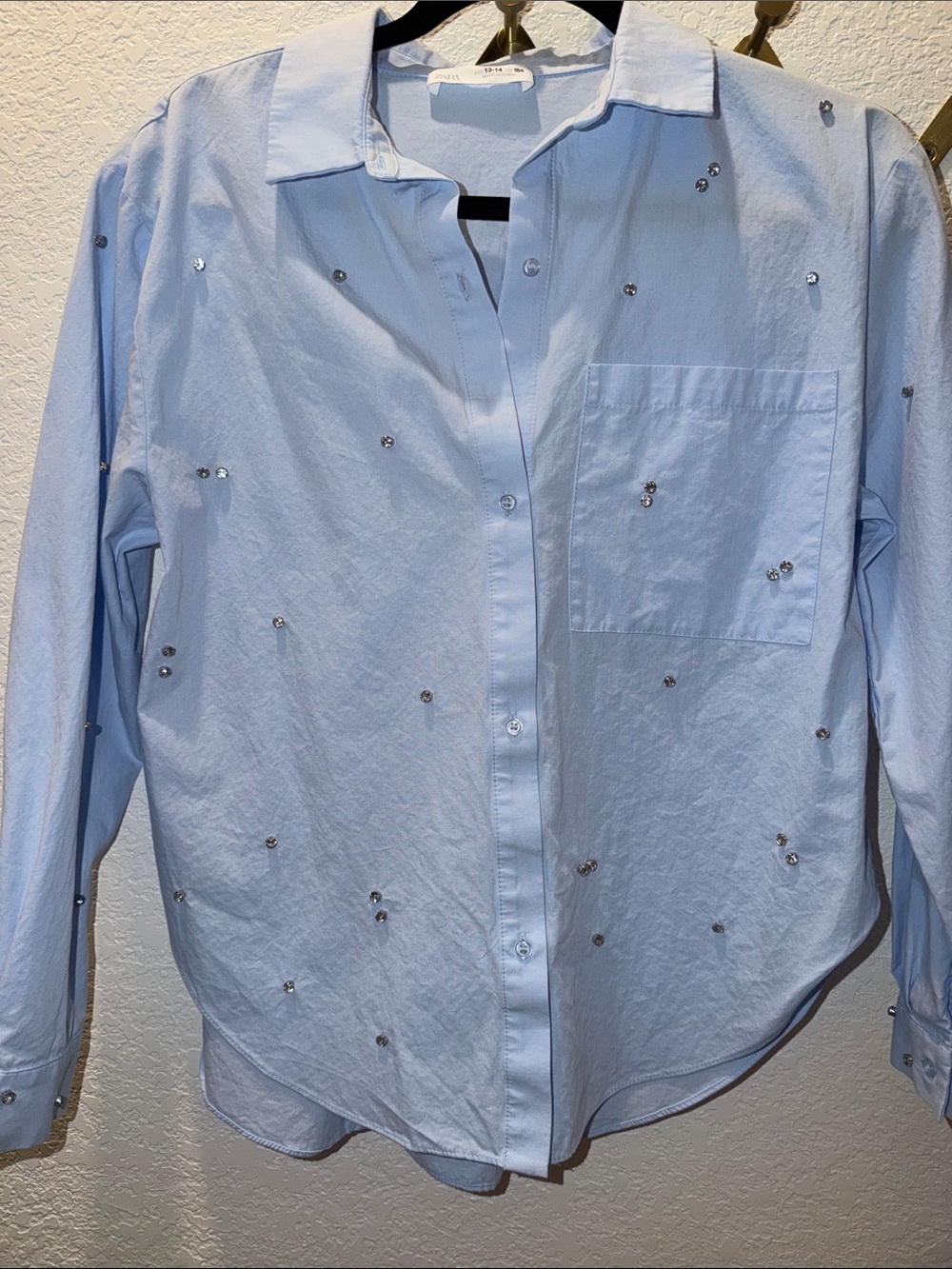 Zara Light Blue Crystal-Embellished Button-Down Shirt